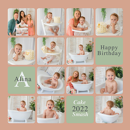 Cake-Smash-Template