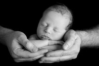 Newborn
