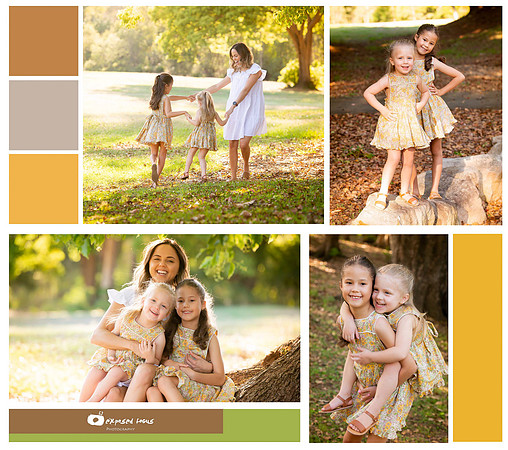6 colour